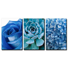 Load image into Gallery viewer, 3 Panel Canvas Wall Art - Blue Rose Succulent Plant and Small Blue Flowers - Giclee Print Gallery Wrap - EK CHIC HOME