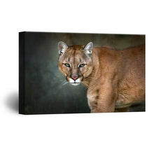 Load image into Gallery viewer, Lion Staring at The Front Modern Home Decor Ready to Hang - EK CHIC HOME