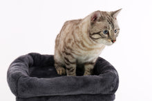 Load image into Gallery viewer, Cat Tree Condo Furniture Activity Tower Play House - EK CHIC HOME