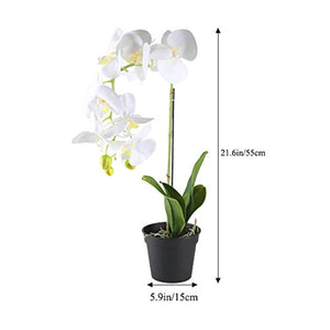 21 INCH Artificial Orchid Plant Black Plastic Pot - EK CHIC HOME