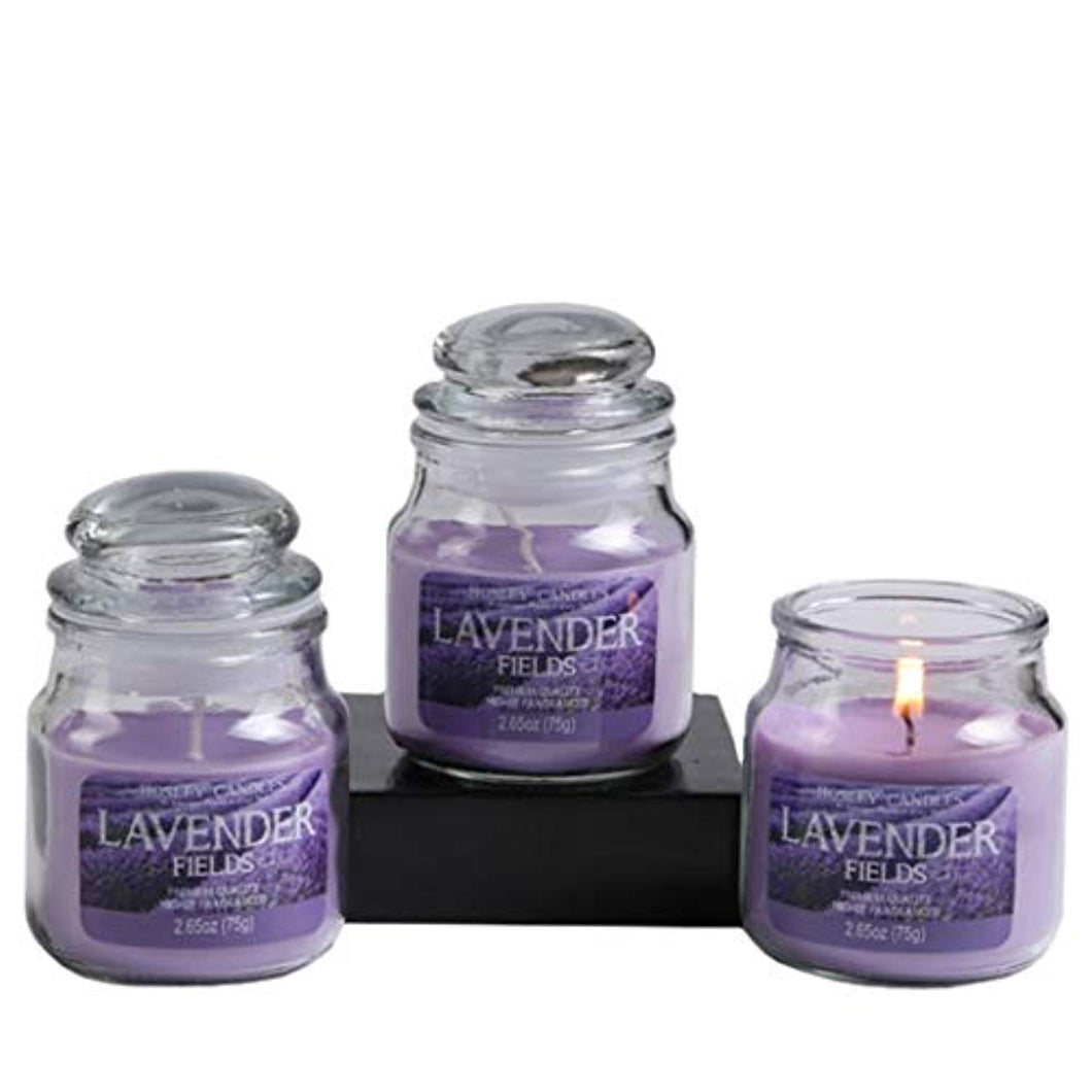 Set of 3 Lavender Fields Highly Scented, 2.65 Oz Wax, Jar Candle. - EK CHIC HOME