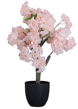 Load image into Gallery viewer, Artificial Cherry Blossom Bonsai Silk Tree - EK CHIC HOME