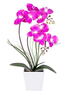 LED Lighted Artificial Orchid Arrangement-Battery Operated - EK CHIC HOME