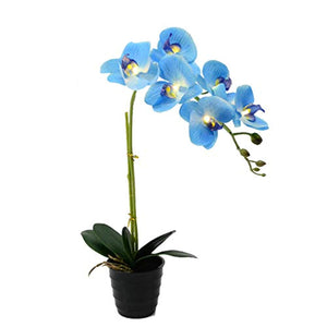20" LED Blossom Orchid Flower Pot Lighted - EK CHIC HOME