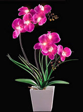 Load image into Gallery viewer, LED Lighted Artificial Orchid Arrangement-Battery Operated - EK CHIC HOME