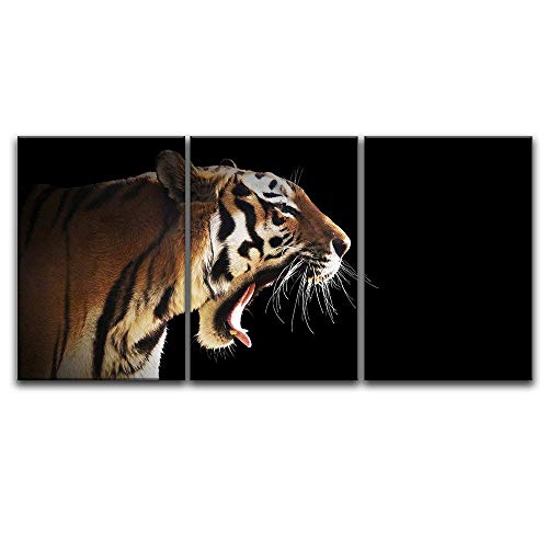3 Panel Canvas Wall Art - A Tiger on Black Background - Giclee Print Gallery Wrap  Ready to Hang - EK CHIC HOME