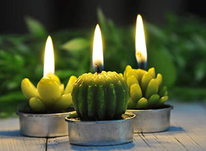 6PCS Cactus Tealight Candles, Decorative Delicate Succulent Handmade Cute Mini Plants Candles - EK CHIC HOME