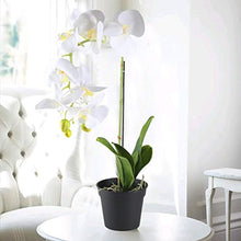 Load image into Gallery viewer, 21 INCH Artificial Orchid Plant Black Plastic Pot - EK CHIC HOME