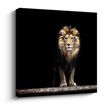 Load image into Gallery viewer, Premium Black Canvas Print King of The Jungle - EK CHIC HOME