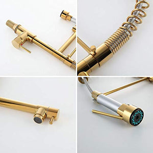 Luxury Single Hole Pull Out Spring Sprayer Dual Spout Kitchen Faucet Solid Brass - EK CHIC HOME