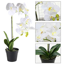 Load image into Gallery viewer, 21 INCH Artificial Orchid Plant Black Plastic Pot - EK CHIC HOME