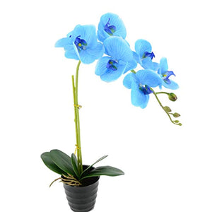 20" LED Blossom Orchid Flower Pot Lighted - EK CHIC HOME