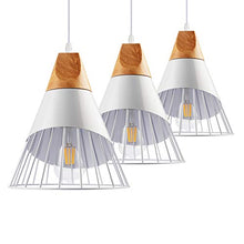Load image into Gallery viewer, Swag Pendant Lights with Iron Cage(3 Kits) - EK CHIC HOME