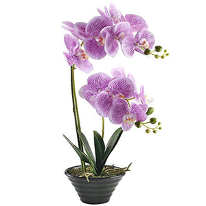 Artificial Phaleanopsis Realistic  Orchid Plant with Black Ceramic Pot - EK CHIC HOME