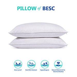 Down Pillows For Sleeping Queen Size - Pack of 2 Standard Hotel Collection - EK CHIC HOME