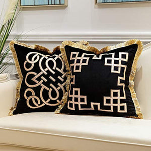 Pack of 2 Luxury Black Decorative Pillows with Tassels 20 x 20 - EK CHIC HOME