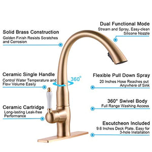 Pull Down Kitchen Faucet with Sprayer Single Handle Brass - EK CHIC HOME
