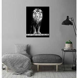 Canvas Portrait of Beautiful Lion in the Dark Wall Art Stretched Wood Frame - EK CHIC HOME