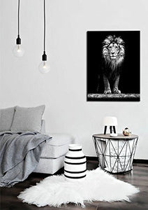 Canvas Portrait of Beautiful Lion in the Dark Wall Art Stretched Wood Frame - EK CHIC HOME