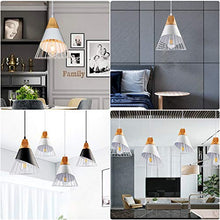 Load image into Gallery viewer, Swag Pendant Lights with Iron Cage(3 Kits) - EK CHIC HOME