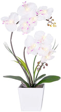Load image into Gallery viewer, LED Lighted Artificial Orchid Arrangement-Battery Operated - EK CHIC HOME
