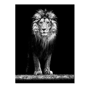 Canvas Portrait of Beautiful Lion in the Dark Wall Art Stretched Wood Frame - EK CHIC HOME