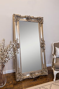 Champagne Leaner Mirror, 35 7/16" x 67", Gold - EK CHIC HOME