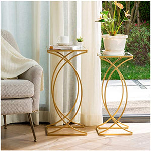 Set of 2 Nesting Coffee Tables- End Tables - EK CHIC HOME