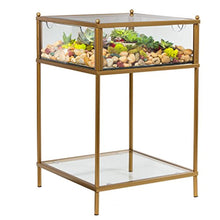 Load image into Gallery viewer, Display End Table with Reinforced Glass in Gold Iron - EK CHIC HOME