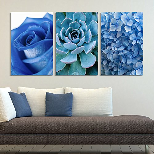 3 Panel Canvas Wall Art - Blue Rose Succulent Plant and Small Blue Flowers - Giclee Print Gallery Wrap - EK CHIC HOME
