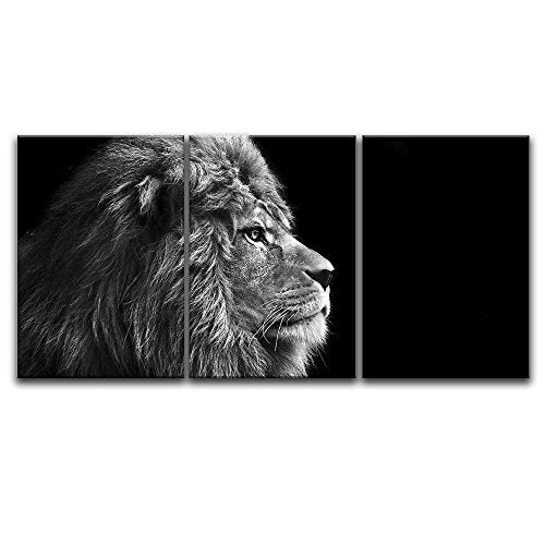 3 Panel Canvas Wall Art - Lion Head on Black Background - Giclee Print Gallery Wrap Ready to Hang - EK CHIC HOME