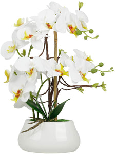 Royal Blue Silk Orchids Plants for Home Decor - EK CHIC HOME