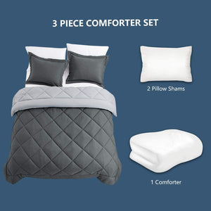 Reversible Comforter Set - Lightweight Fluffy Down Alternative Duvet Insert - EK CHIC HOME
