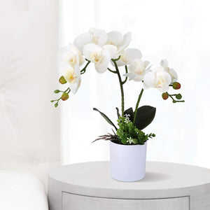 White Orchid  with White Pot Decor Indoor - EK CHIC HOME