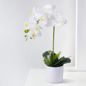 White Orchid  with White Pot Decor Indoor - EK CHIC HOME