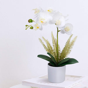 White Orchid  with White Pot Decor Indoor - EK CHIC HOME