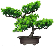 Load image into Gallery viewer, Japanese Artificial Cedar Bonsai Silk Tree - EK CHIC HOME