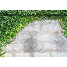 Load image into Gallery viewer, The Green Creeper Plant on a Wall - Removable Wall Mural | Self-Adhesive Large Wallpaper - EK CHIC HOME