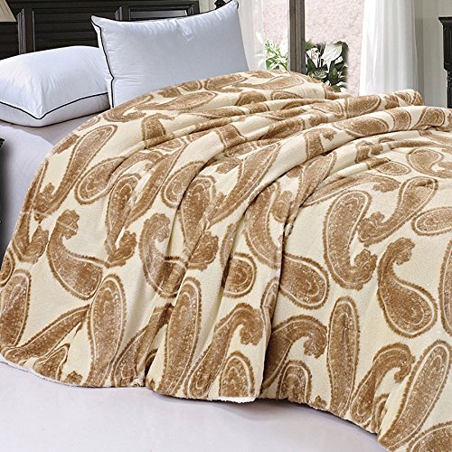 Soft and Thick Faux Fur Sherpa Backing Bed Blanket, Amphora Big Paisley, 84