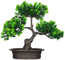 Load image into Gallery viewer, Japanese Artificial Cedar Bonsai Silk Tree - EK CHIC HOME