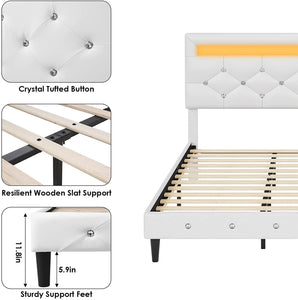 Modern Upholstered Platform Bed Frame with LED Headboard - EK CHIC HOME