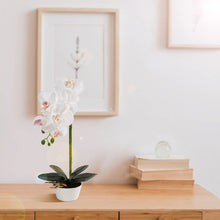 Load image into Gallery viewer, White Orchid  with White Pot Decor Indoor - EK CHIC HOME