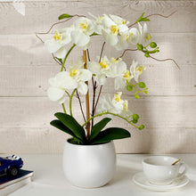 Load image into Gallery viewer, Royal Blue Silk Orchids Plants for Home Decor - EK CHIC HOME