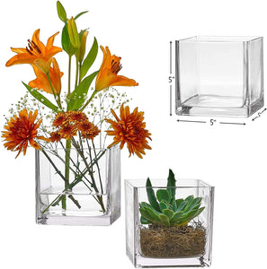 Set of 12 Glass Square Vases 4 x 4 h – Clear Cube Shape Flower Vase - EK CHIC HOME