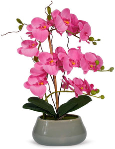 Royal Blue Silk Orchids Plants for Home Decor - EK CHIC HOME