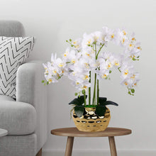 Load image into Gallery viewer, Artificial Orchid- Silk Plant in Gold Pot Arrangement - EK CHIC HOME
