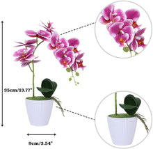 Load image into Gallery viewer, Purple Orchid  Phalaenopsis Arrangement Plants - EK CHIC HOME