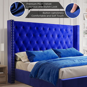 King Bed Frame Low Profile Platform Bed Upholstered Velvet Tufted - EK CHIC HOME