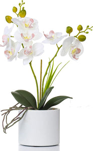 Artificial Flower Bonsai with Glass Vase Vivid Orchid - EK CHIC HOME