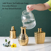 Load image into Gallery viewer, Ceramic Vase for Home Decor, Gift, Gold - EK CHIC HOME